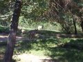 IMGP1151.JPG